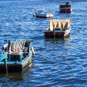 Fishing Boats